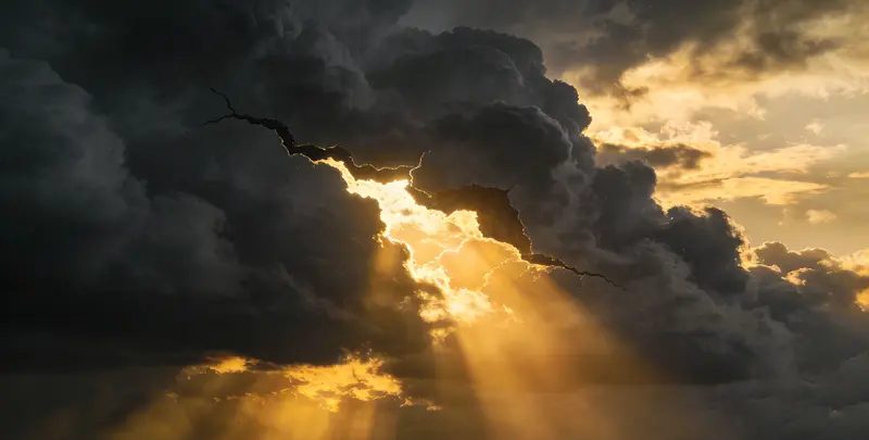 周口肺癌靶向120基因检测（组织）图片1