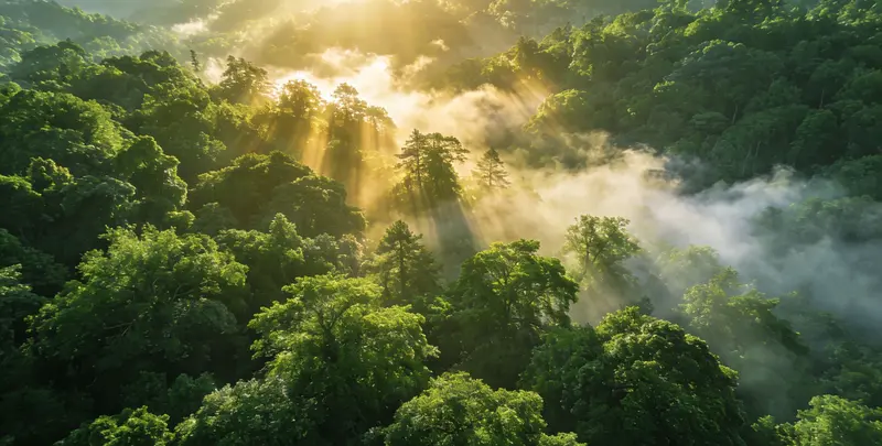 周口肺癌119基因检测图片1