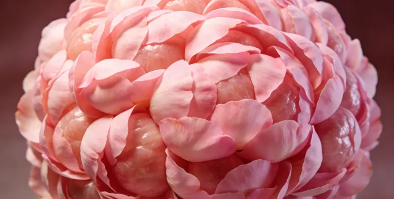 周口BRCA1/2乳腺癌卵巢癌基因检测图片1