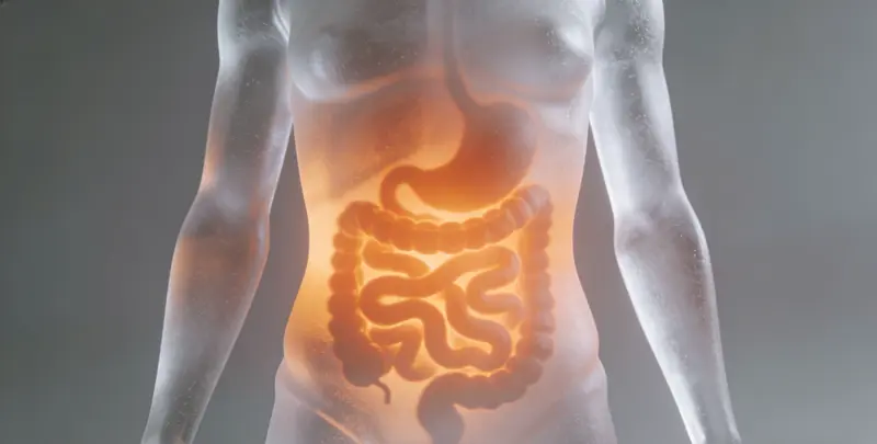 周口肠癌甲基化检测图片1